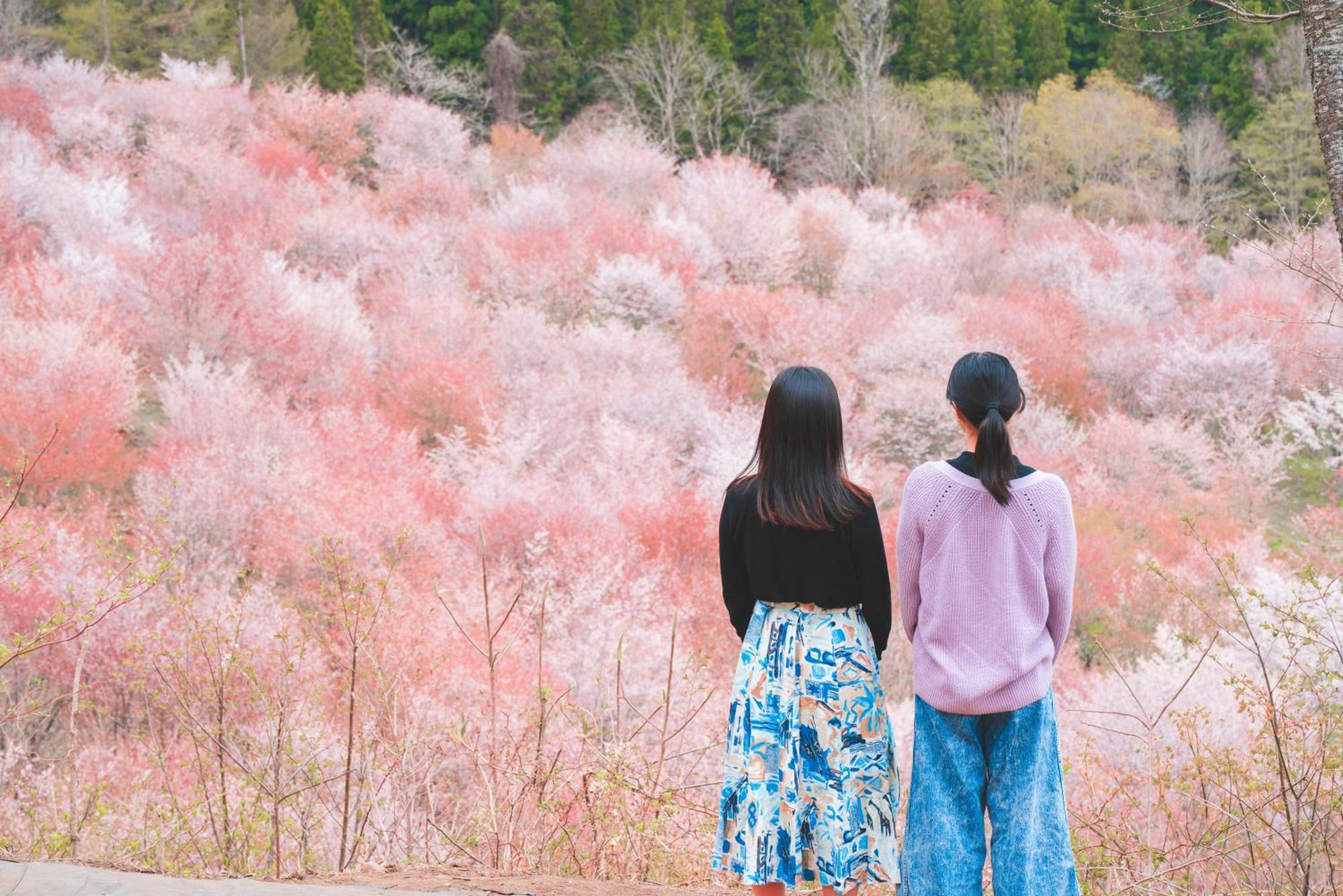 Urabandai Lake Resort Goshiki No Mori Kitashiobara Exteriör bild