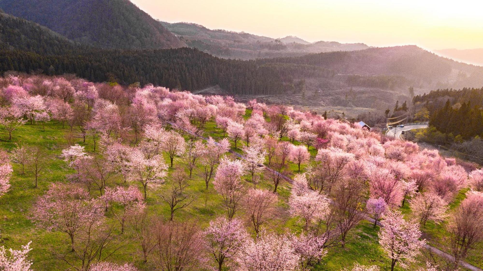 Urabandai Lake Resort Goshiki No Mori Kitashiobara Exteriör bild