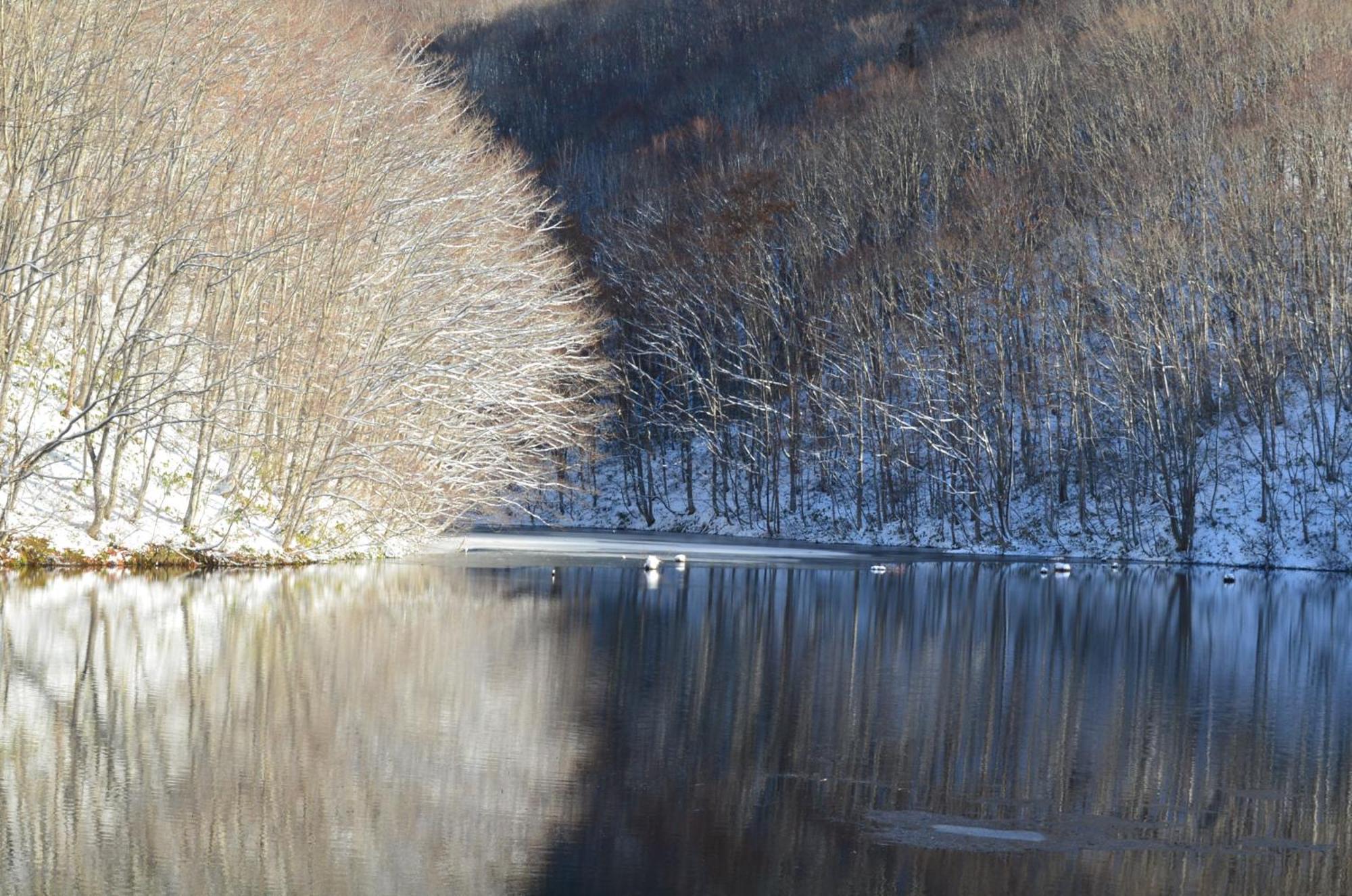 Urabandai Lake Resort Goshiki No Mori Kitashiobara Exteriör bild