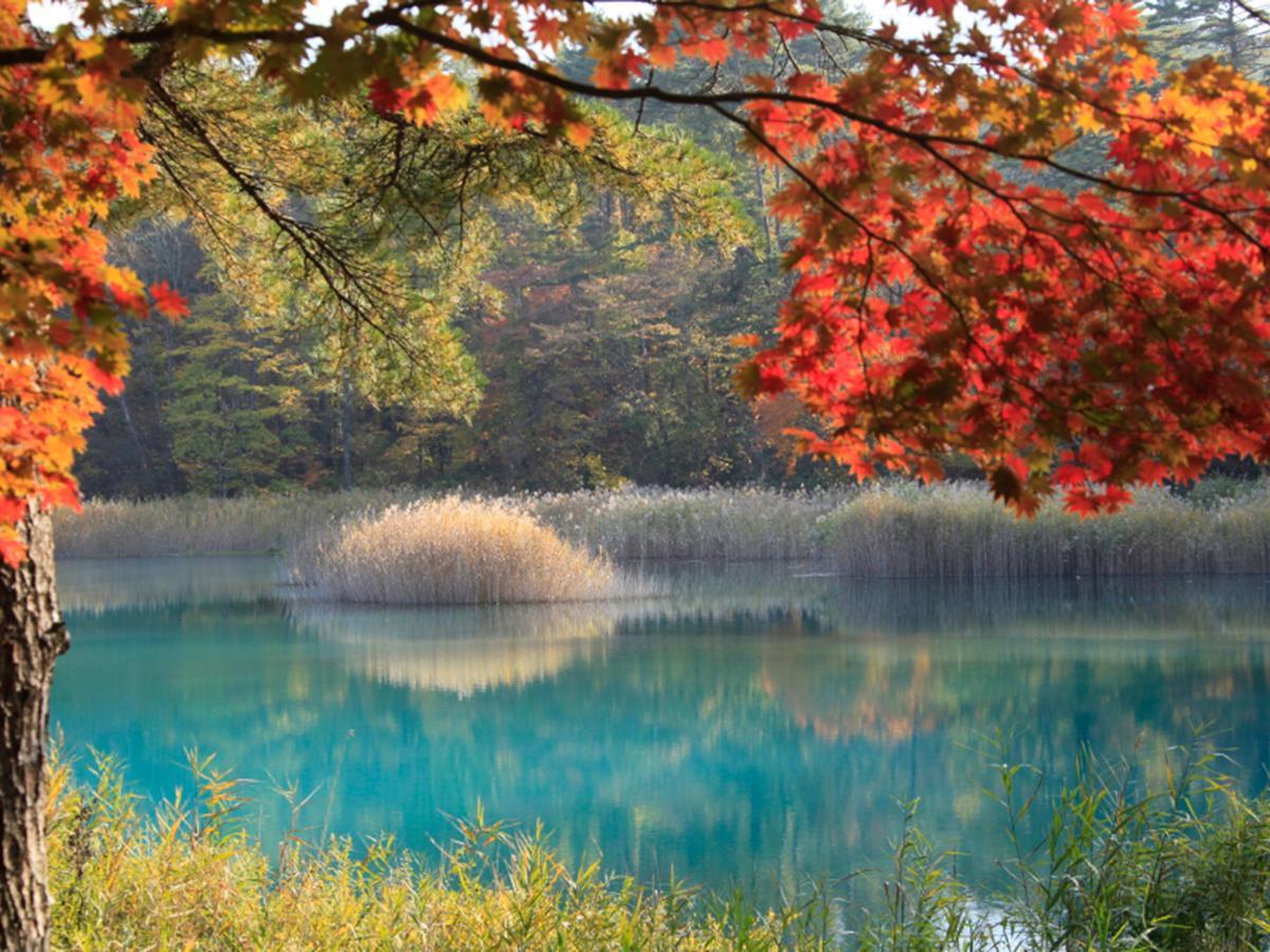 Urabandai Lake Resort Goshiki No Mori Kitashiobara Exteriör bild